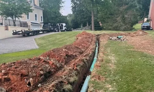 5A42A70C-6694-48CD-B25E-F99A33DE3338 (1) 5A42A70C-6694-48CD-B25E-F99A33DE3338 (1)