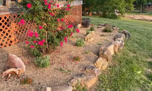 IMG_6368 (1) IMG_6368 (1)