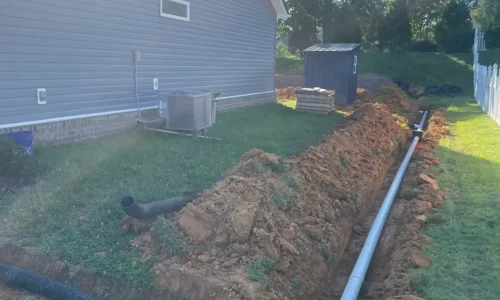 IMG_6993 (1) IMG_6993 (1)