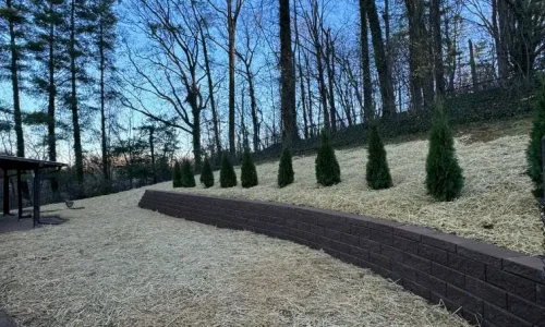 IMG_7958 (1) (1) IMG_7958 (1) (1)